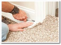 Professional Carpet repaire